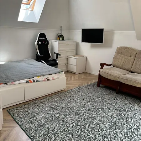 Interbelic Vibe Apartment *