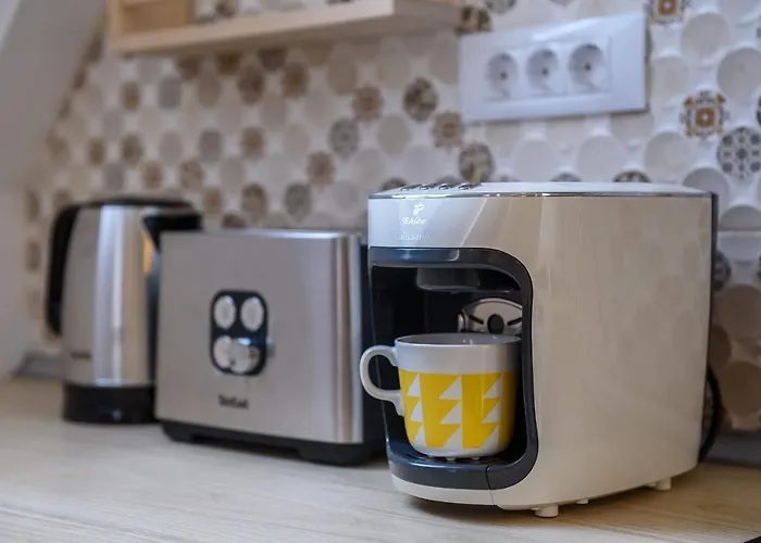 Interbelic Vibe Apartment Cluj-Napoca